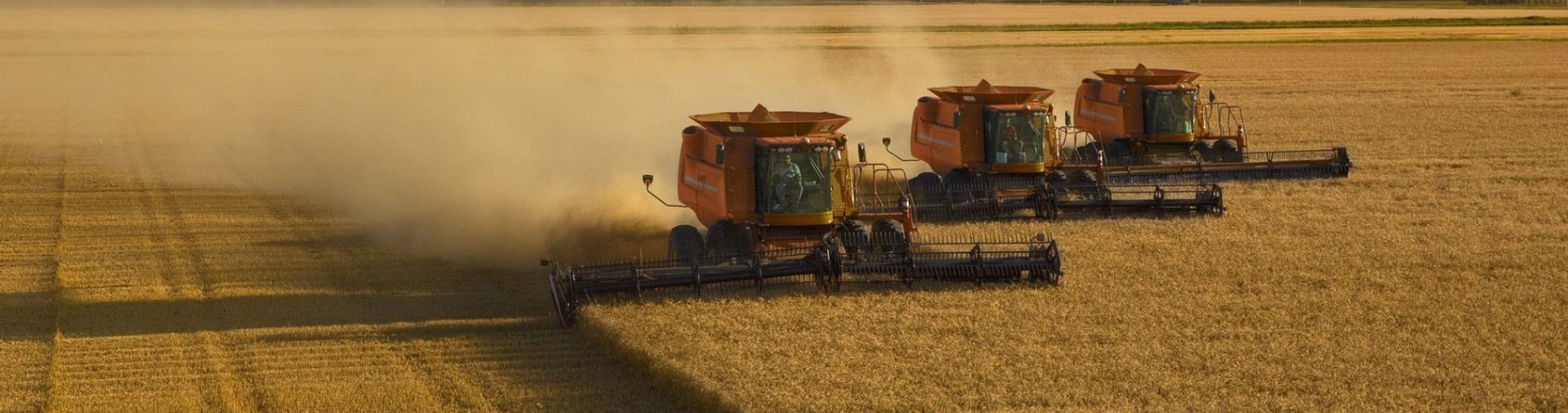 5 dicas para gerenciar a manutenção de equipamentos agrícolas