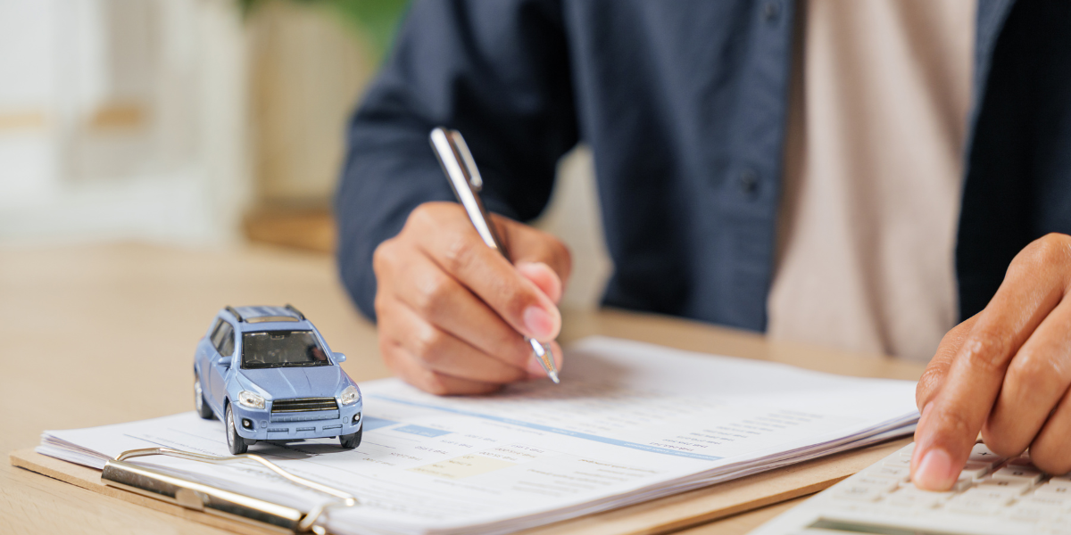 Gestão de transporte 4